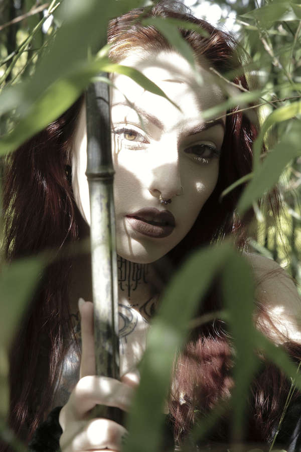 Archive Image