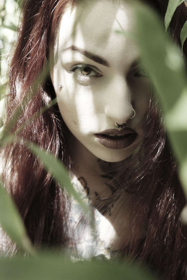 Archive Image